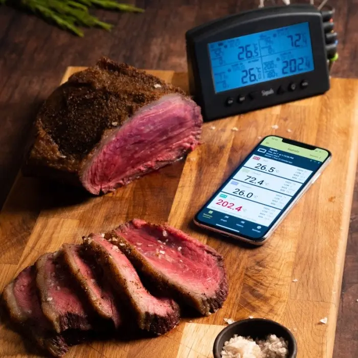 4-kanałowy rejestrator temperatury WiFi & Bluetooth ETI Signals